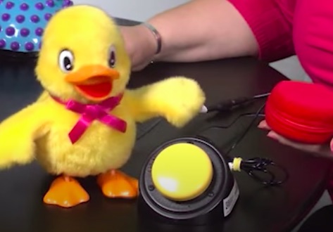 Switch Toy 