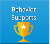 behavior supports 