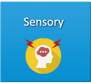 sensory 