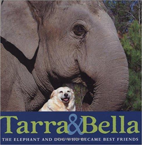  Tarra & Bella