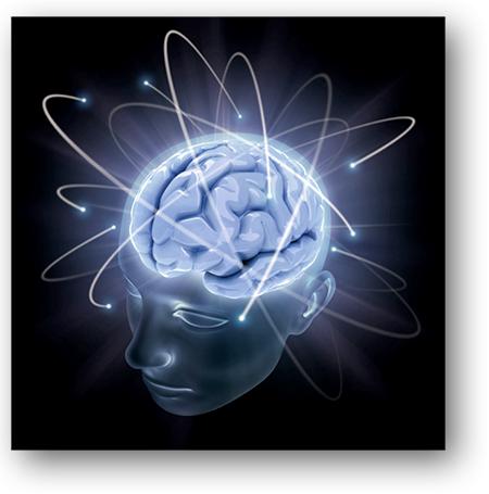 brain 